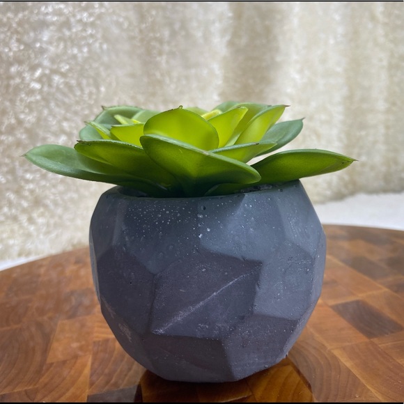 Faux Succulent, in 3”H circular pot (2 available for individual purchase) - Picture 5 of 11